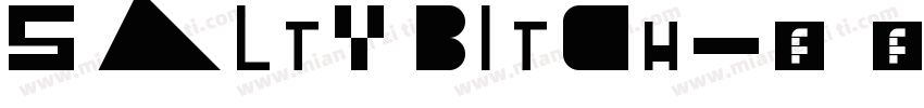 SALTY BITCH字体转换
